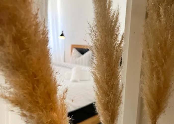 Cozy Residence Sv. Duh